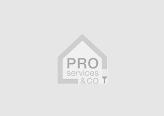 Présentation Pro Services & Co pour les entreprises
